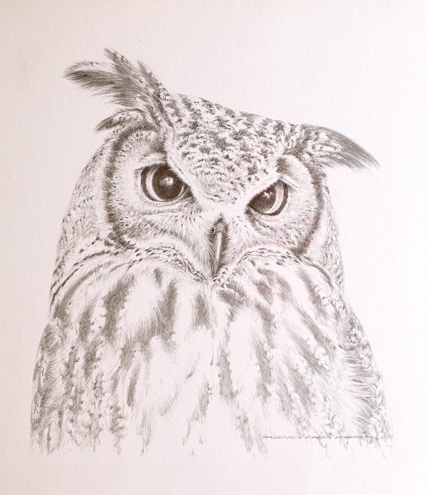 David Ord Kerr, Indian Eagle Owl Sketch