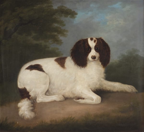 A liver-and-white English Springer Spaniel sitting by a fowling-piece, a shot -flask and a cock pheasant in a wooded landscape