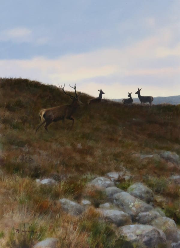 Rodger McPhail , Red Deer on the skyline