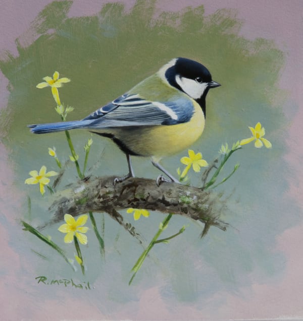 Rodger McPhail , Great tit