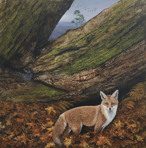 Red Fox