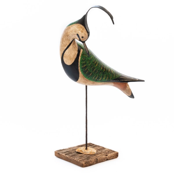 Preening Lapwing
