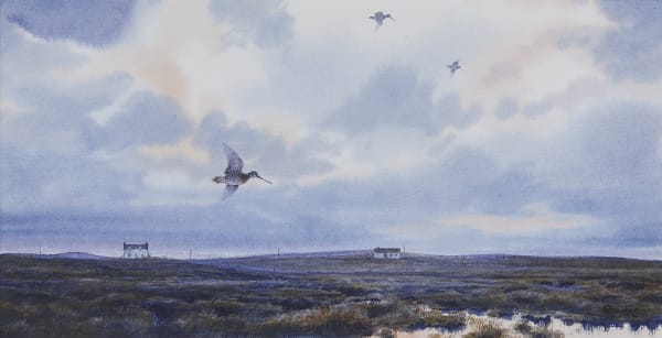 Owen Williams , Snipe over a marsh