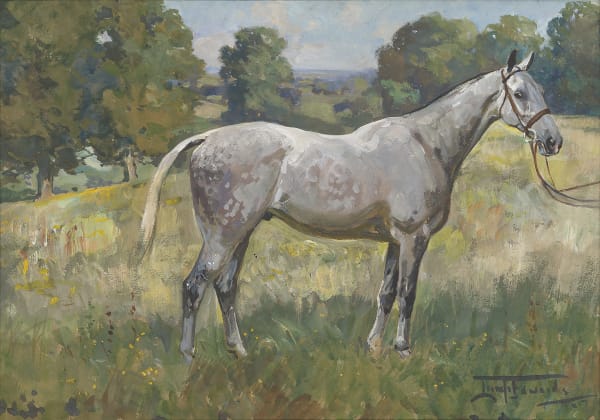 A dappled grey horse in a landscape