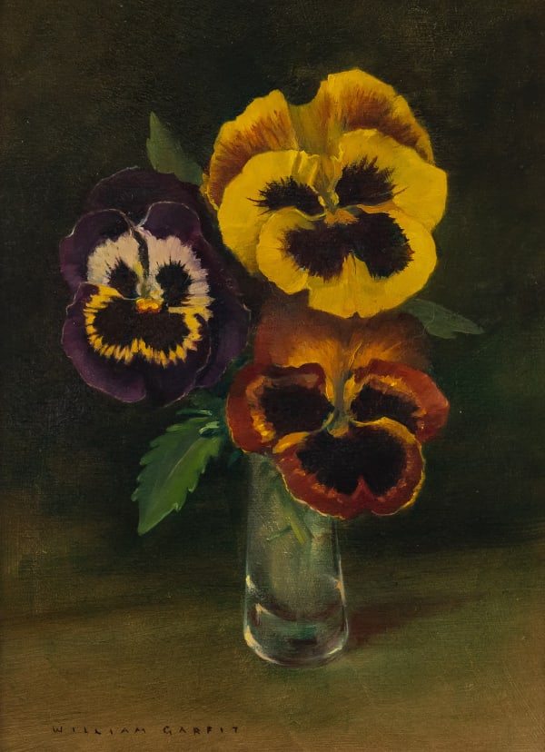 William Garfit , Garden pansey,Viola x wittrockiana
