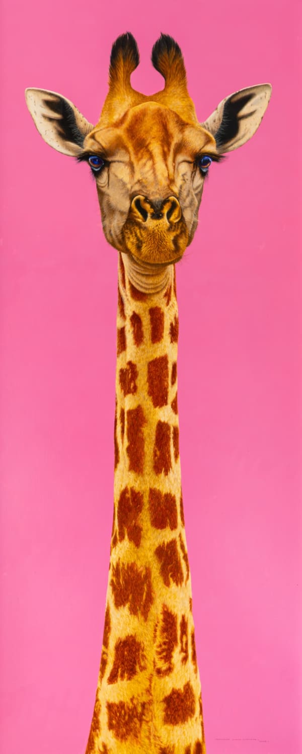 Mrs Giraffe says Hello