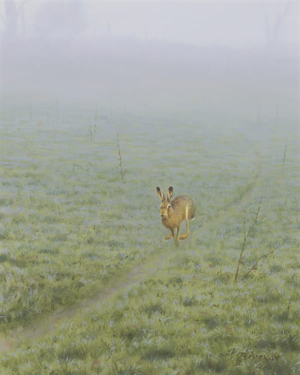 Rodger McPhail, Hare on track