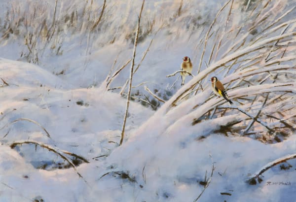 Rodger McPhail, Goldfinches