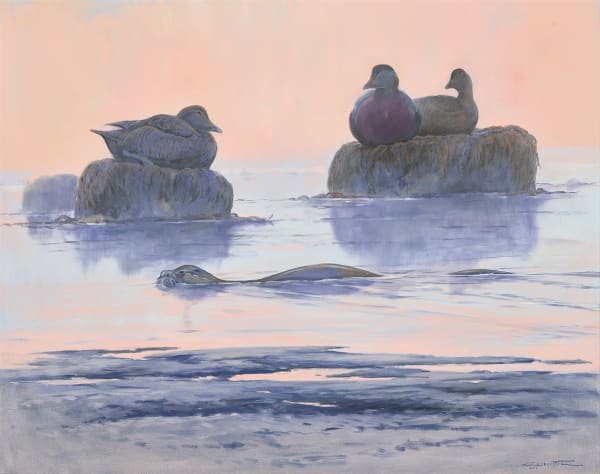Derek Robertson , Otter passing in the morning's first light