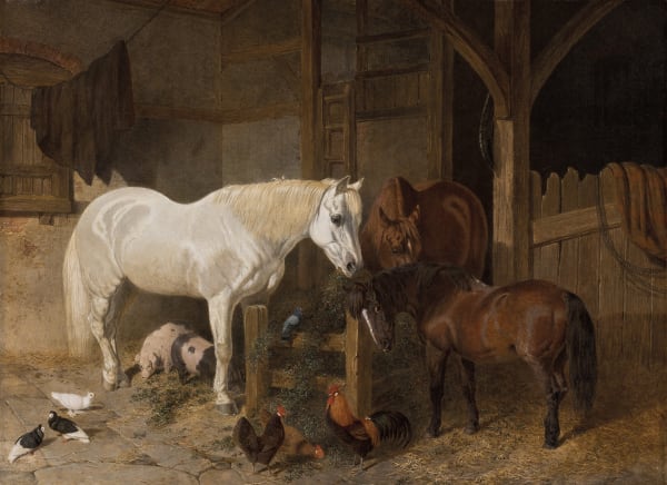 Stable companions