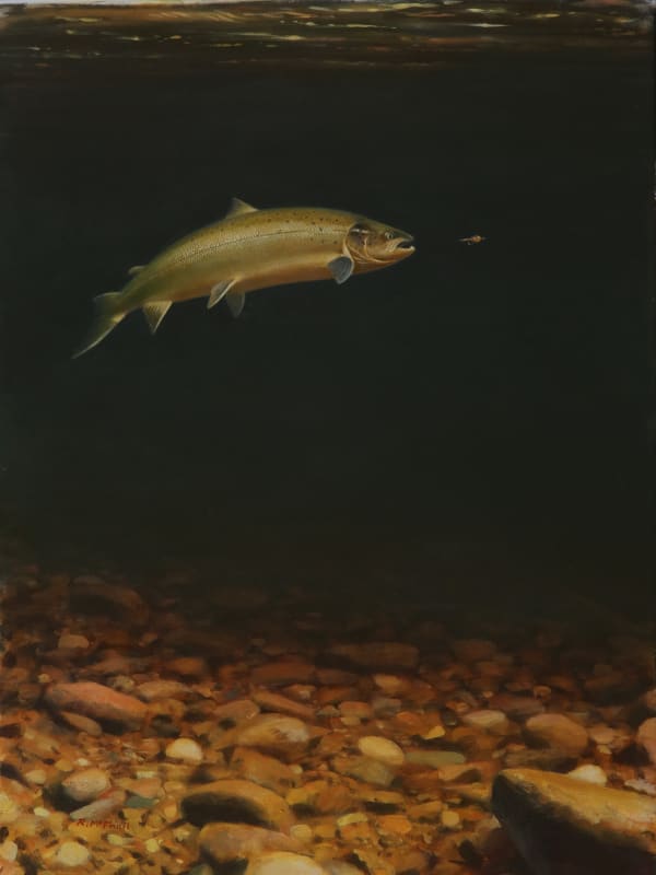 Rodger McPhail , Salmon coming to fly