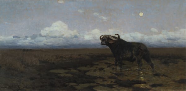 in the Marsh - Buffalo