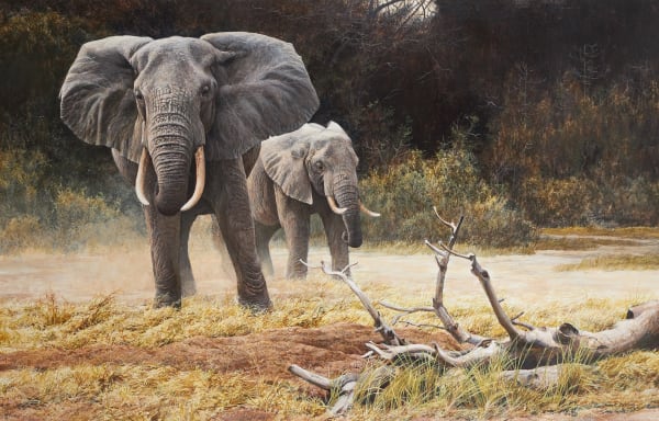 Elephants