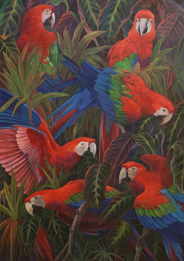 Red and Green Macaws on black ground