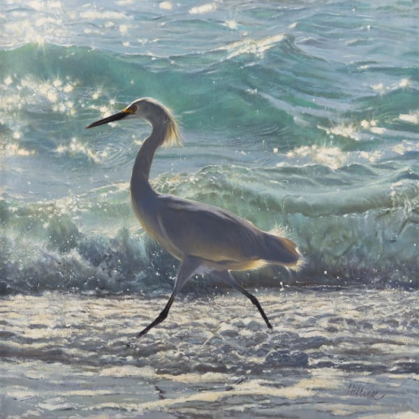 Egret along the shoreline