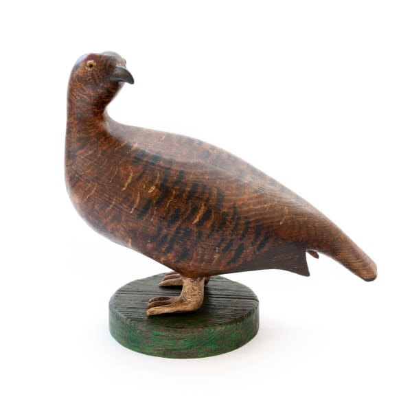 Red Grouse