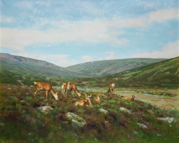The seasons, Summer
