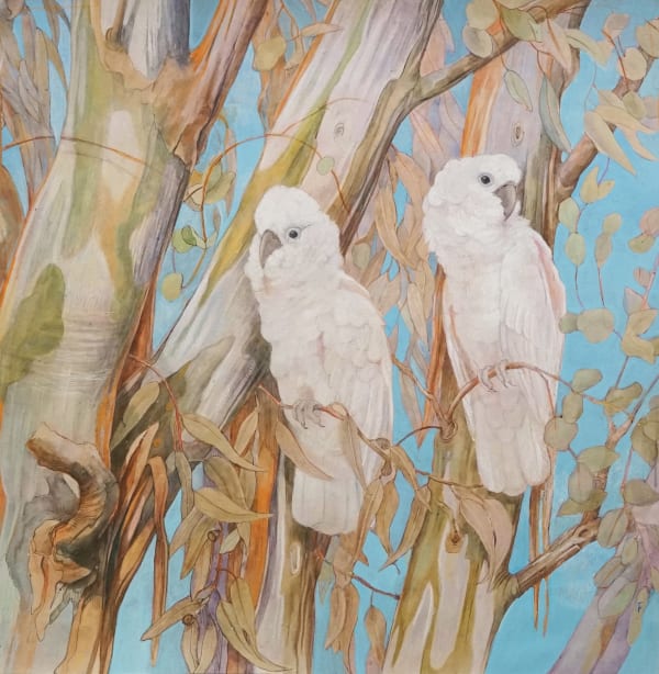 White Cockatoos