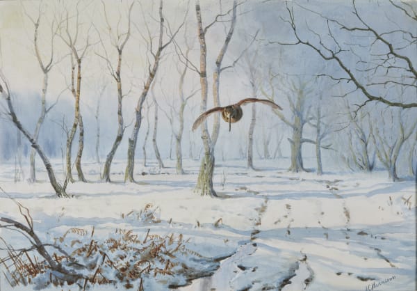 Woodcock over the snow
