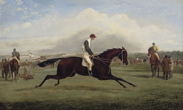 Wild Dayrell, Winner of the Derby, 1855