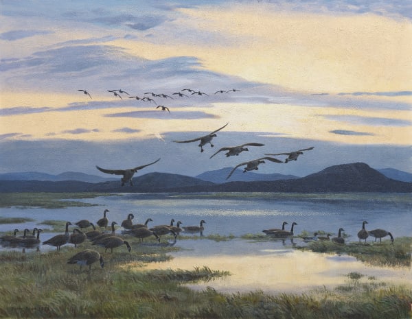 Geese flying down river at dusk
