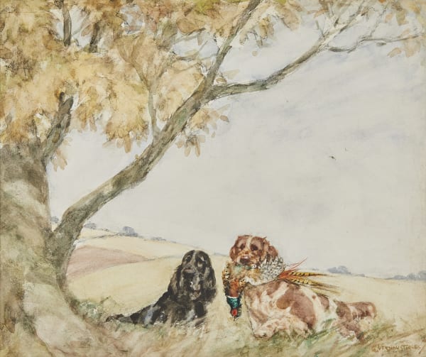 George Vernon Stokes , Spaniels at work