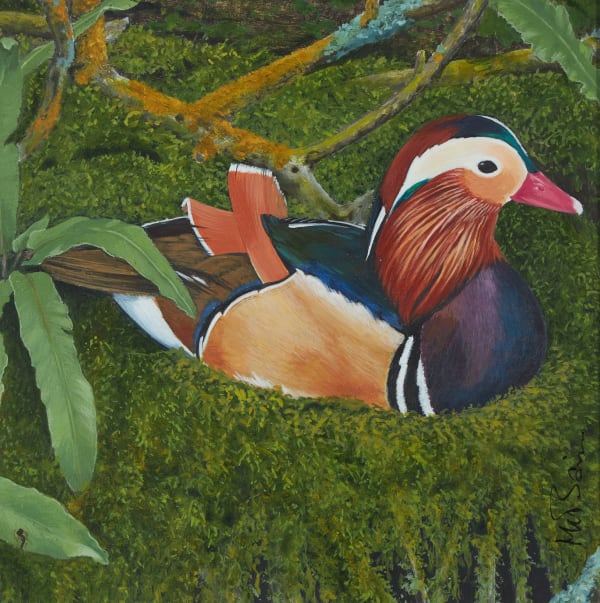 Mandarin at rest
