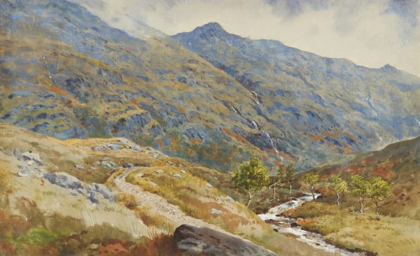 Archibald Thorburn , View of Barrisdale Forest