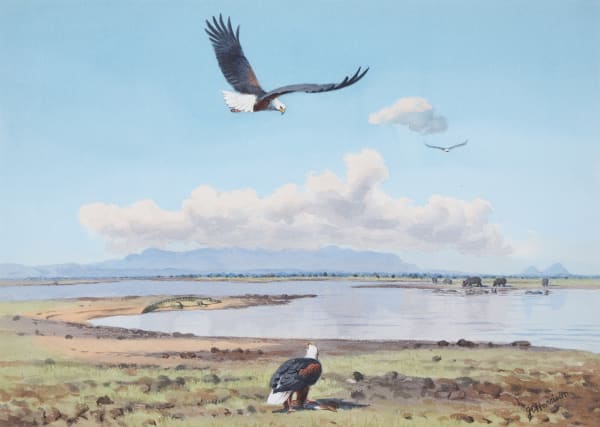 Fish Eagle and Hippo