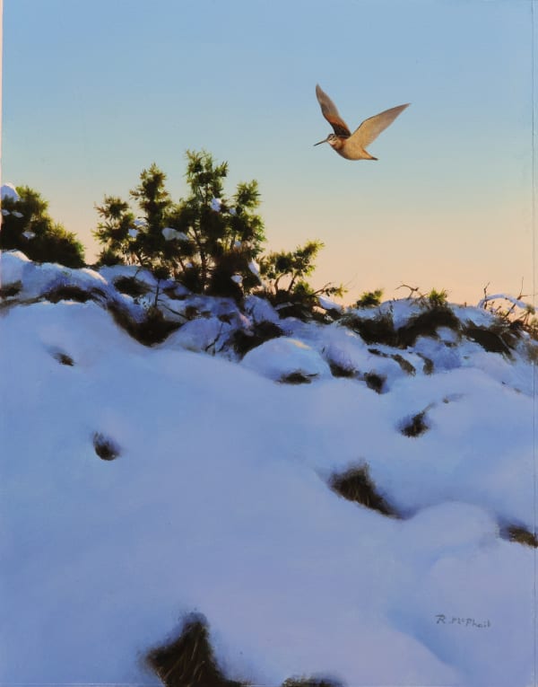 Rodger McPhail , Snowy Woodcock