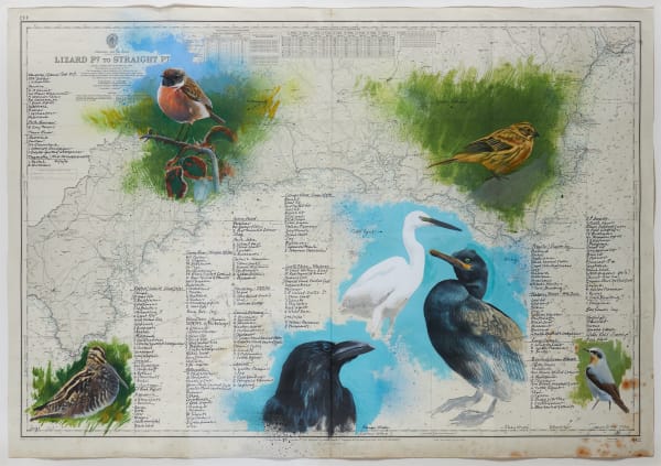 Bird Map, South Coast Devon, England