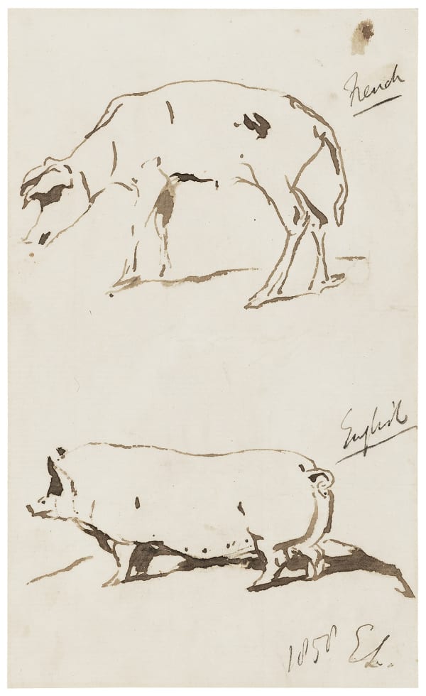 Sir Edwin Landseer , RA, The rounded English pig and the scrawny French pig
