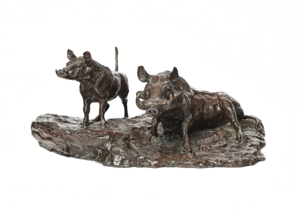 Warthogs
