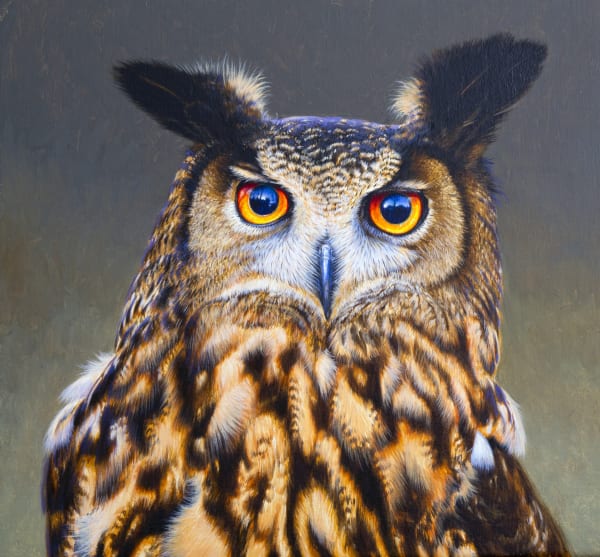 David Ord Kerr , European Eagle Owl