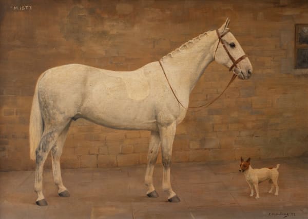 Florence Mabel Hollams , Portrait of a grey horse Misty with a terrier, 1932