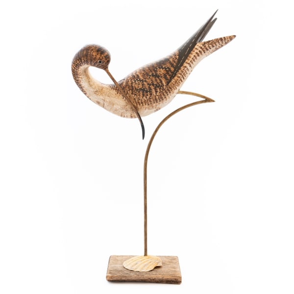 Preening Curlew