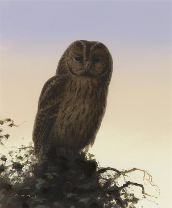 Rodger McPhail, Tawny Owl