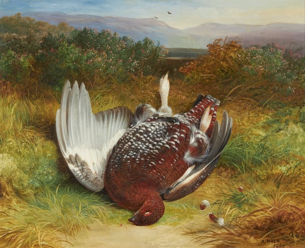 Still life of dead grouse