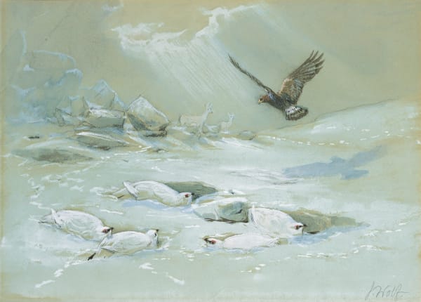 Ptarmigan and deer