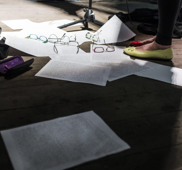 Zuzanna Janin, performance