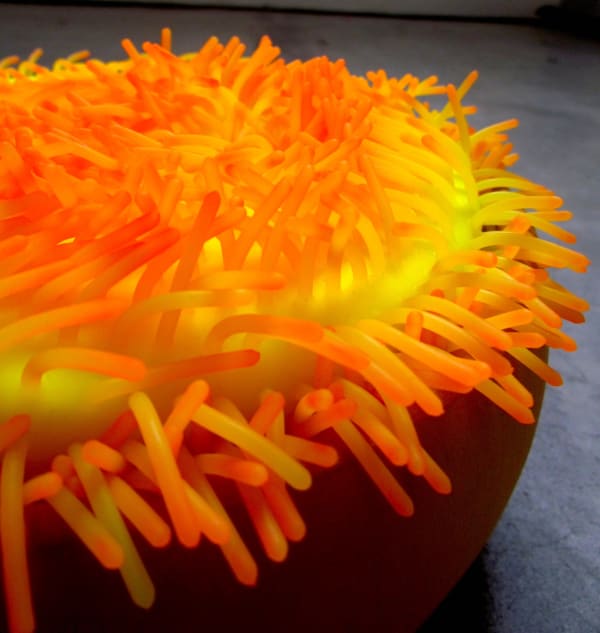 Fiona Beveridge, Pollen Yolk