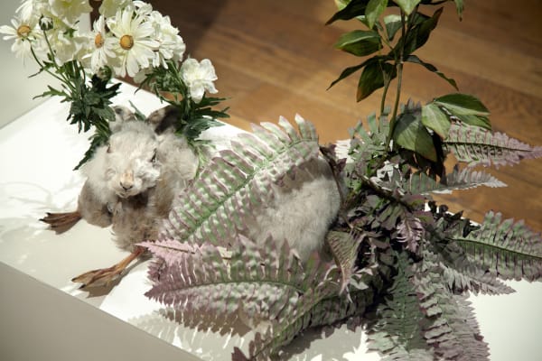 Of Magical And Mystical Things Sept2012 15