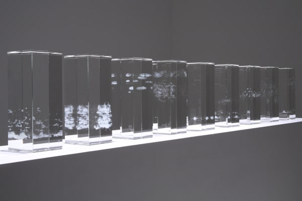 Annie Cattrell, Conditions