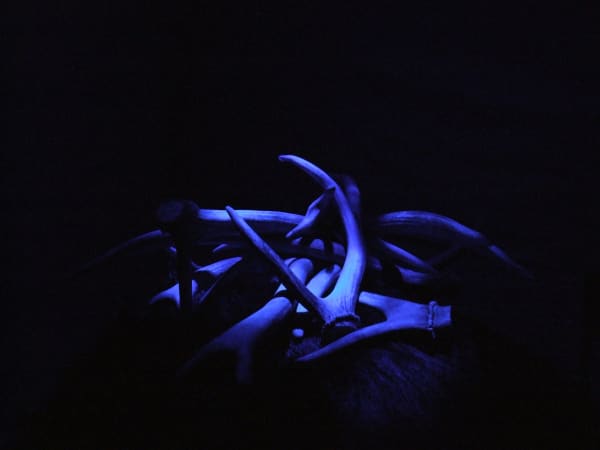 Gill Russell, Install image