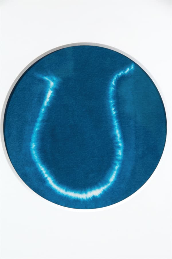 Kate Whiteford RSA, In Petri Veritas 2, 2009