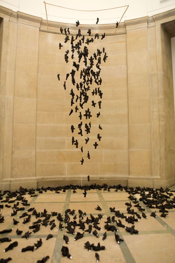 RSA New Contemporaries 2009 install shot. Photo Ben Collins