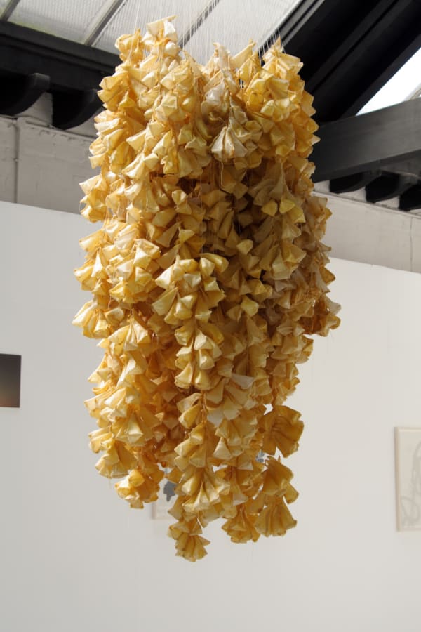 Rosie Hughes Jones, Swarm Migration