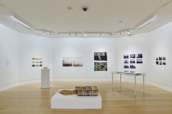 Scotland Small 008 Resized