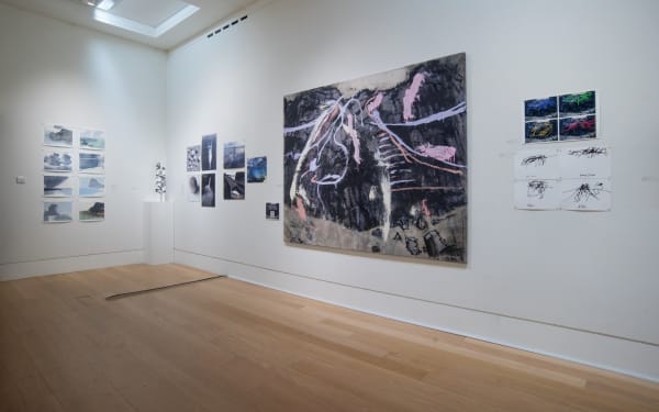 Lower Galleries Autumn 030