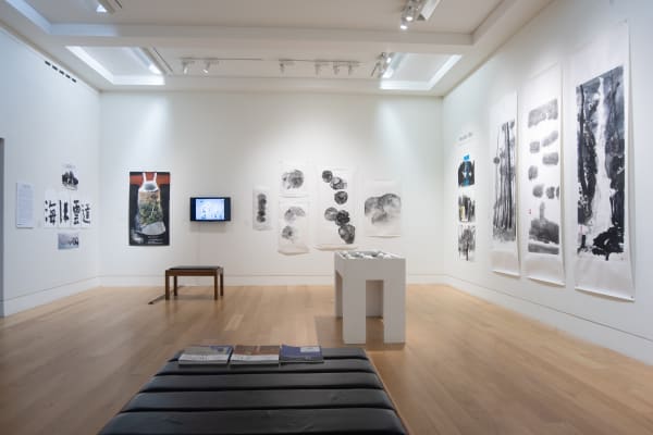 Lower Galleries Autumn 031